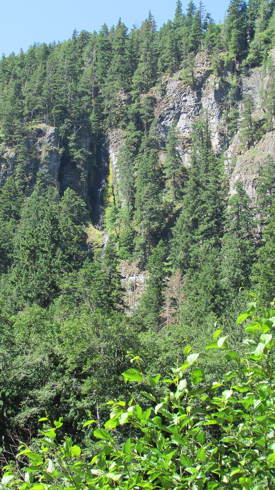 Skookum photo 2