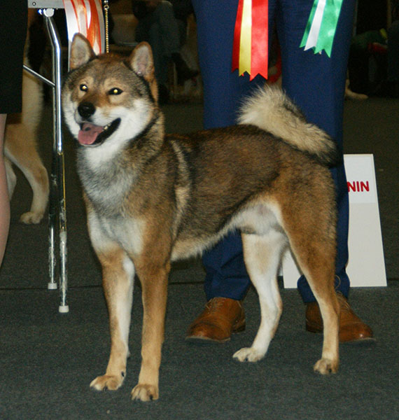 Shikoku photo 2